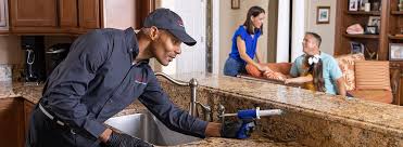 Best Residential Pest Control  in Brunswick, OH